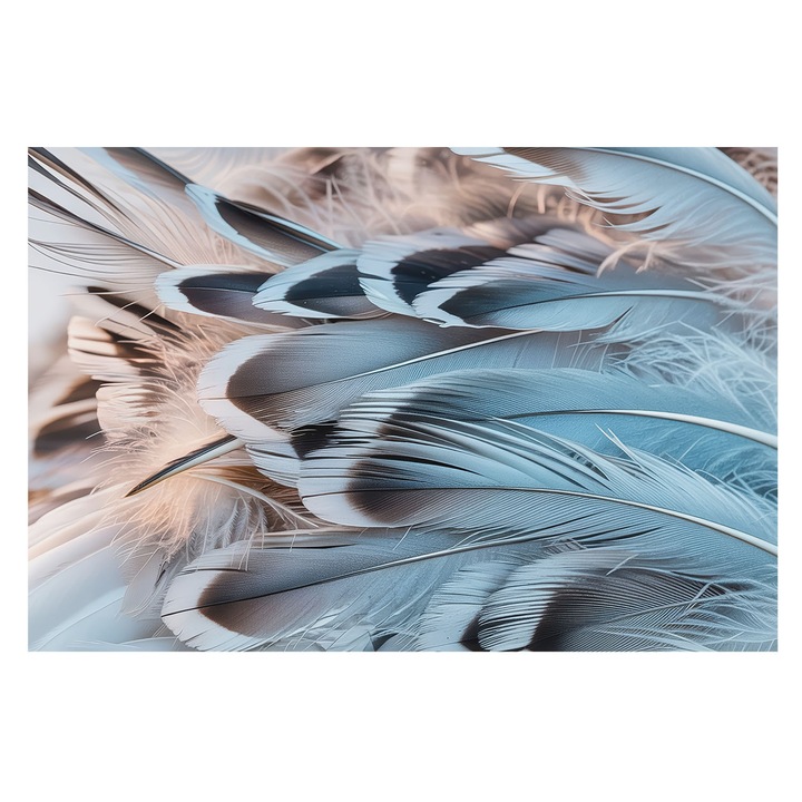 Dekor Tapéta, Tulup, Kék tollak, Fehér, 104 x 70 cm, Nem Szőtt, Erős Ragasztó, 010100060020000285067