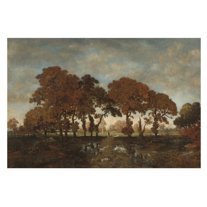 Tapéta Falra, Tulup, Idilli táj, Barna, 104 x 70 cm, Nem Szőtt, Modern Belsőépítészeti Dekoráció, 010100060020000285289