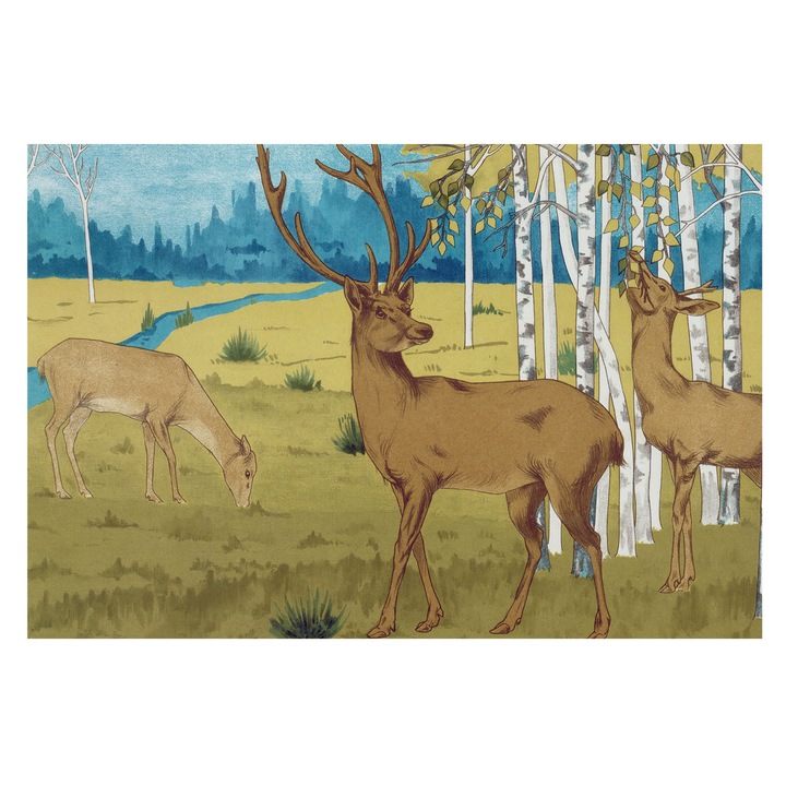 Tapéta Falra, Tulup, Erdő harmóniája, Zöld, 104 x 70 cm, Nem Szőtt, Könnyen Felszerelhető, 010100060020000285499