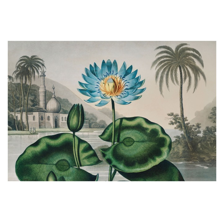 Tapéta Vlies Fali Dekoráció, Tulup, Egzotikus táj, Zöld, 104 x 70 cm, Nem Szőtt, Hálószobába, Konyhába, 010100060020000285619