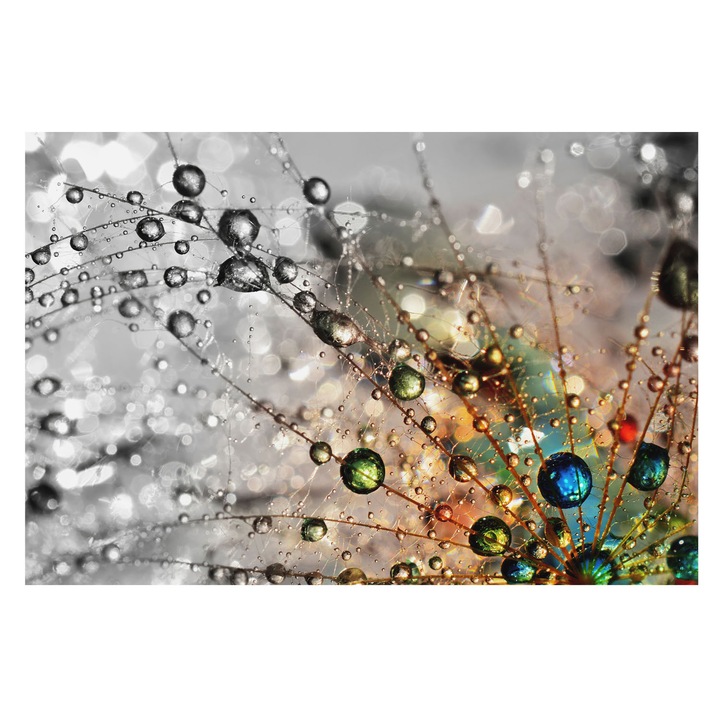 Tapet Vinil De Perete, Tulup, Eu improsc bijuterii, Alb, 104 x 70 cm, Vlies, Ecologic, 010100060020000006195