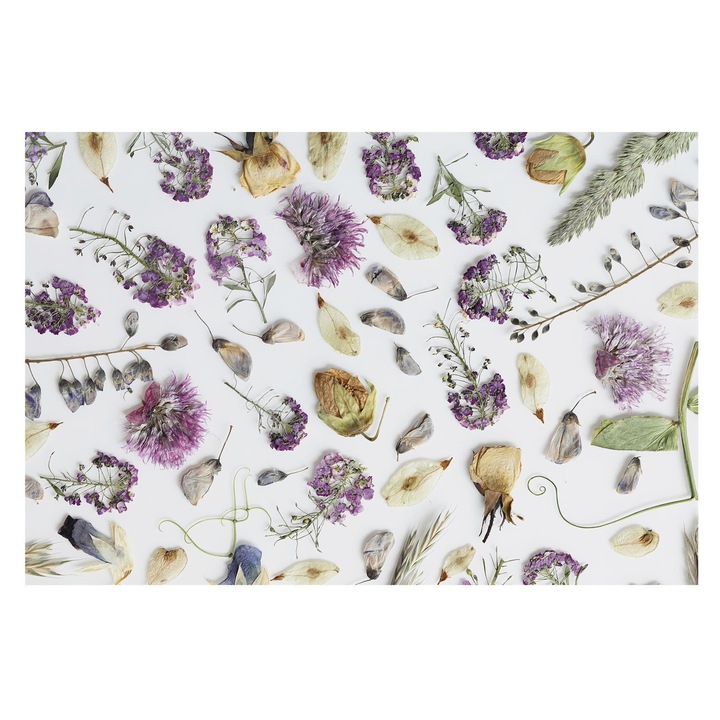 Tapéta Vlies Fali Dekoráció, Tulup, Szárított virágok, Fehér, 104 x 70 cm, Nem Szőtt, Élénk Színek, 010100060020000282735