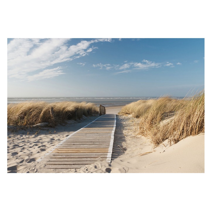 Tapéta Vlies Fali Dekoráció, Tulup, Tengeri ösvény, Kék, 152 x 104 cm, Nem Szőtt, Öko, 010100060030000000702