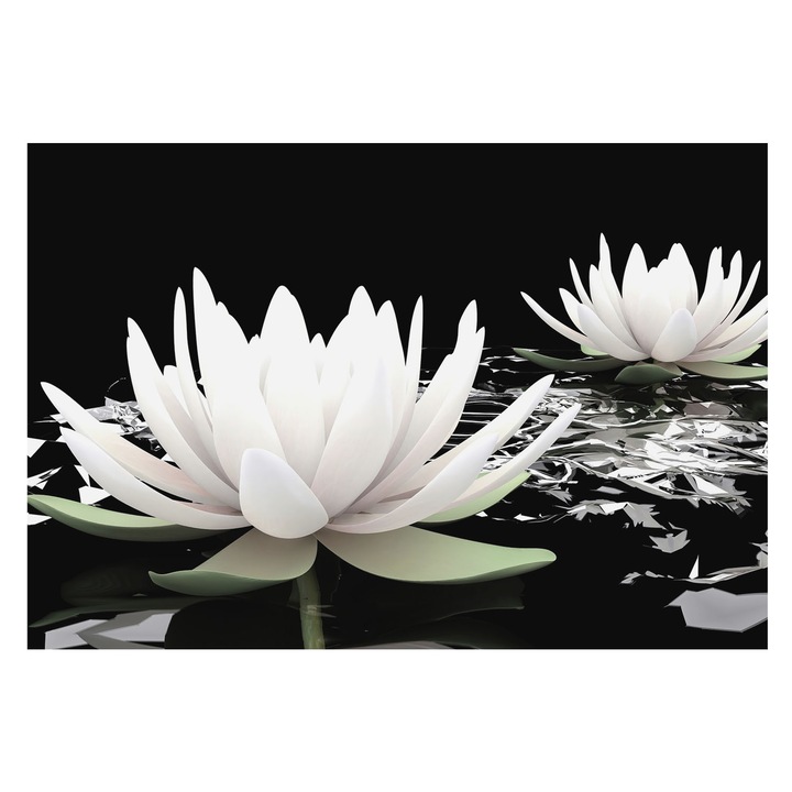 Dekor Tapéta, Tulup, Vízi virágok, Fehér, 152 x 104 cm, Nem Szőtt, Öko, 010100060030000000696