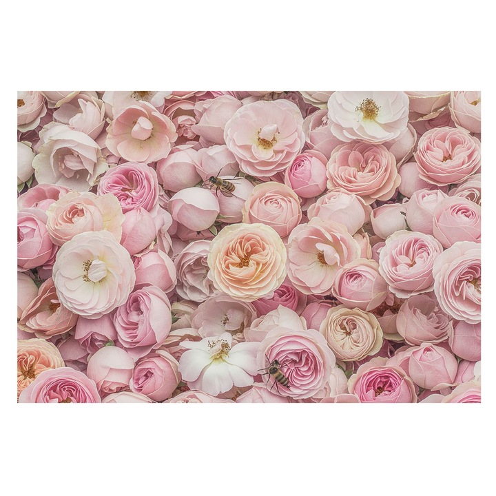 Dekor Tapéta, Tulup, Gyönyörű virágok, Rózsaszín, 104 x 70 cm, Vlies, Hálószobába, Konyhába, 010100060020000285010