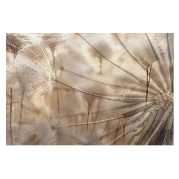 Dekor Tapéta, Tulup, Finom pitypangok, Bézs, 104 x 70 cm, Vlies, Stílusos, 010100060020000285118