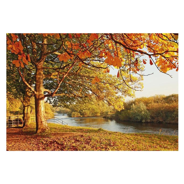 Tapéta Vlies Fali Dekoráció, Tulup, Tengerparti ősz, Sárga, 152 x 104 cm, Nem Szőtt, Élénk Színek, 010100060030000001146