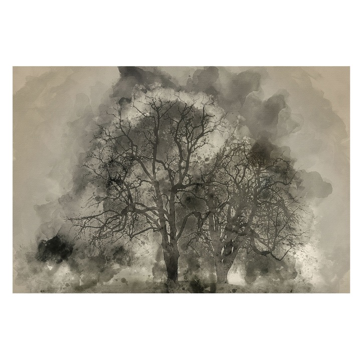 Fotótapéta Falra, Tulup, Titokzatos fák, Fekete, 104 x 70 cm, Nem Szőtt, Élénk Színek, 010100060020000285230