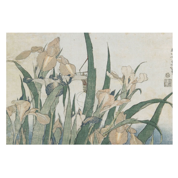 Dekor Tapéta, Tulup, Finom íriszek, Fehér, 104 x 70 cm, Vlies, Klasszikus, 010100060020000285410