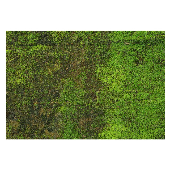 Dekor Tapéta, Tulup, Zöld szőnyeg, Zöld, 152 x 104 cm, Vlies, Előszobába, Nappaliba, 010100060030000282897