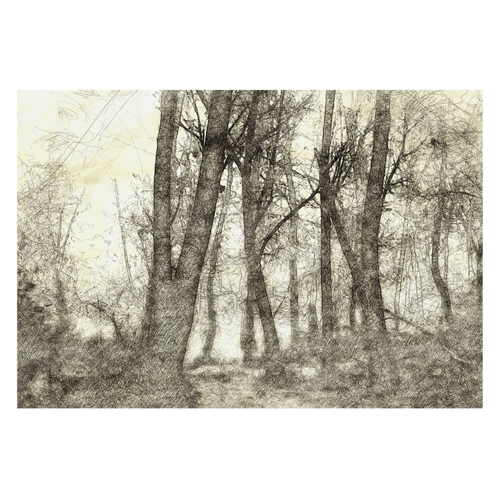 Dekor Tapéta, Tulup, Erdei melankólia, Fekete és fehér, 152 x 104 cm, Nem Szőtt, Nappaliba, Szobába, 010100060030000282787