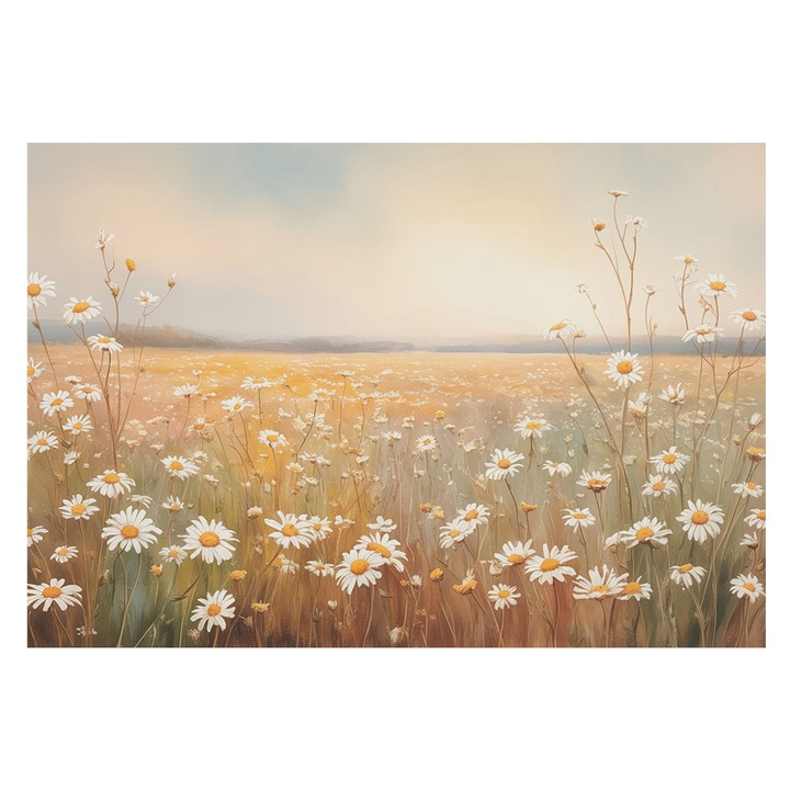 Fotótapéta Falra, Tulup, Virágos rét, Fehér, 152 x 104 cm, Vlies, Stílusos, 010100060030000284717