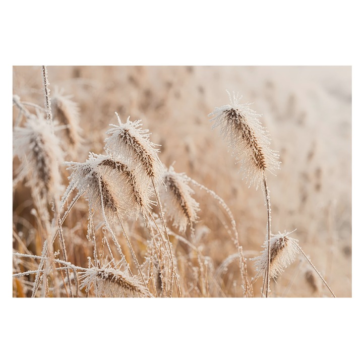 Dekor Tapéta, Tulup, Téli táj, Fehér, 152 x 104 cm, Vlies, Hálószobába, Konyhába, 010100060030000284895