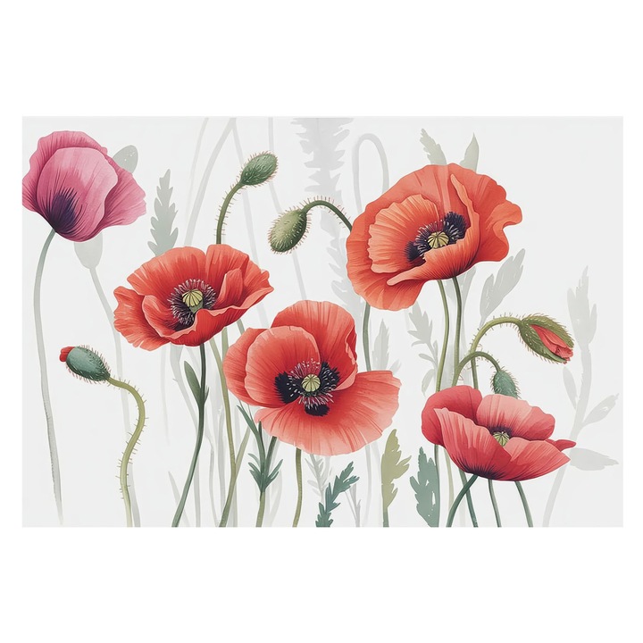 Tapéta Falra, Tulup, Piros pipacsok, Piros, 152 x 104 cm, Nem Szőtt, Öko, 010100060030000284939