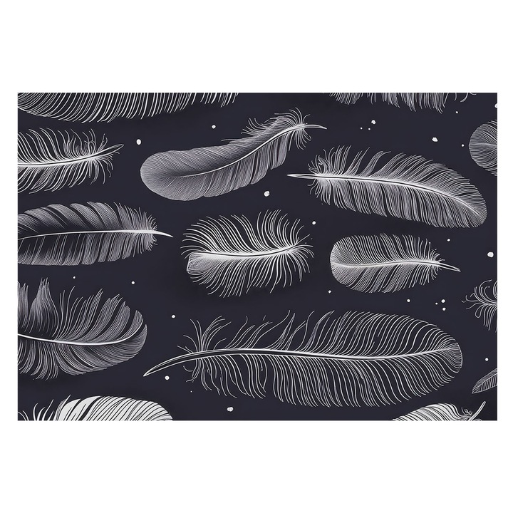 Tapéta Falra, Tulup, Finom tollak, Fekete és fehér, 152 x 104 cm, Vlies, Öko, 010100060030000285126