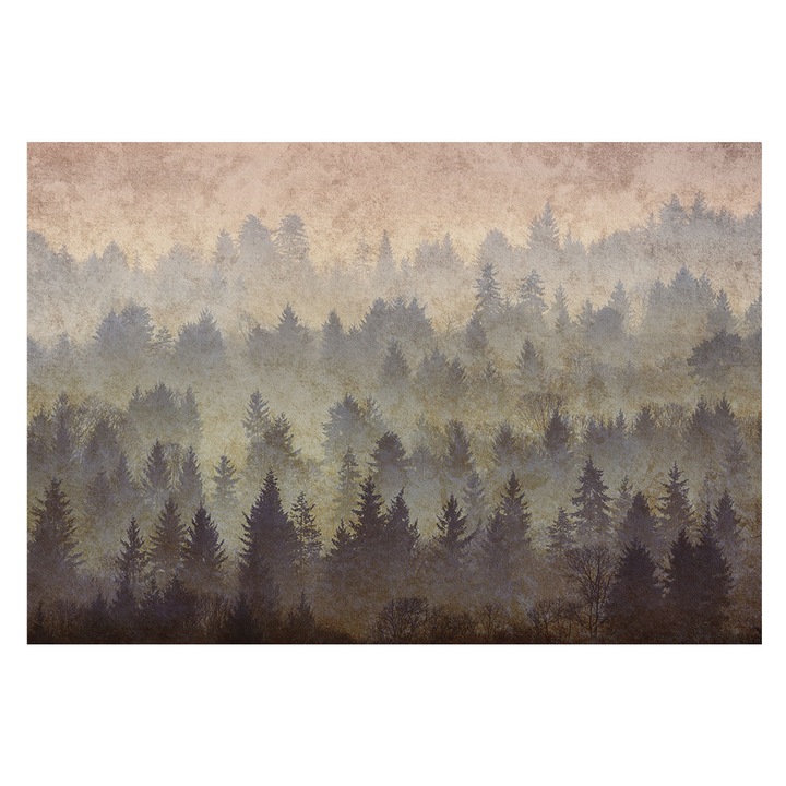 Fotótapéta Falra, Tulup, Erdei köd, Szürke, 152 x 104 cm, Vlies, Erős Ragasztó, 010100060030000285161