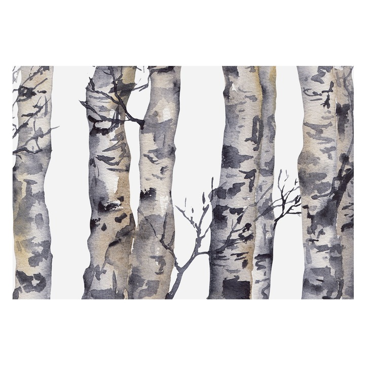 Tapéta Vlies Fali Dekoráció, Tulup, nyárfaerdő, Szürke, 152 x 104 cm, Nem Szőtt, Stílusos, 010100060030000285261
