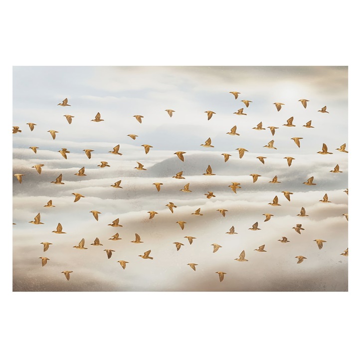 Fotótapéta Falra, Tulup, Madarak repülés közben, Bézs, 104 x 70 cm, Vlies, Élénk Színek, 010100060020000284830