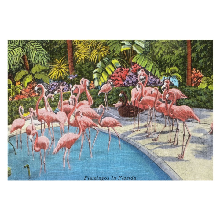 Tapéta Falra, Tulup, Egzotikus jelenet, Zöld, 152 x 104 cm, Nem Szőtt, Előszobába, Nappaliba, 010100060030000285512