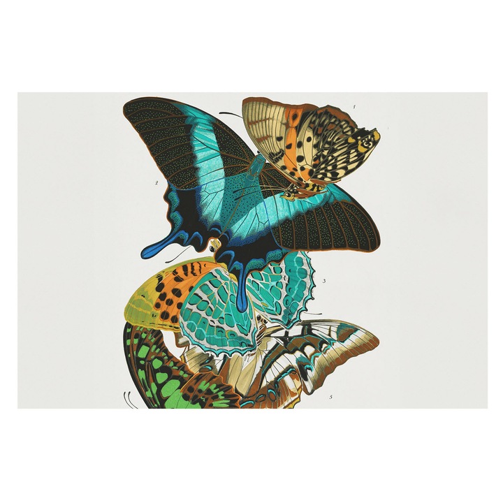 Fotótapéta De Perete, Tulup, Fluturi colorati, Turcoaz, 104 x 70 cm, Decorativ, Pentru Uz Intern, 010100060020000285383