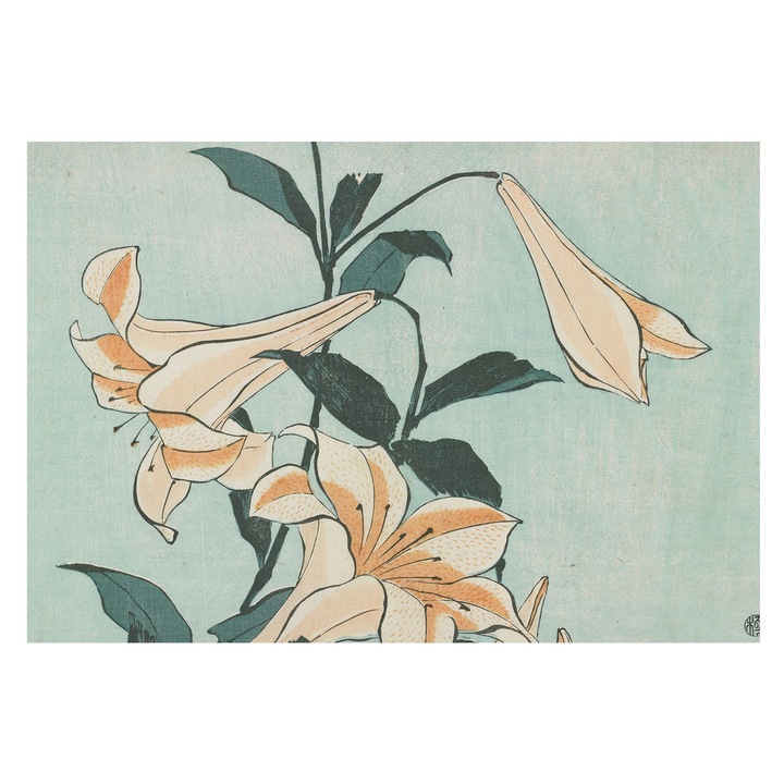 Tapéta Falra, Tulup, Finom liliomok, Fekete, 152 x 104 cm, Vlies, Élénk Színek, 010100060030000285546