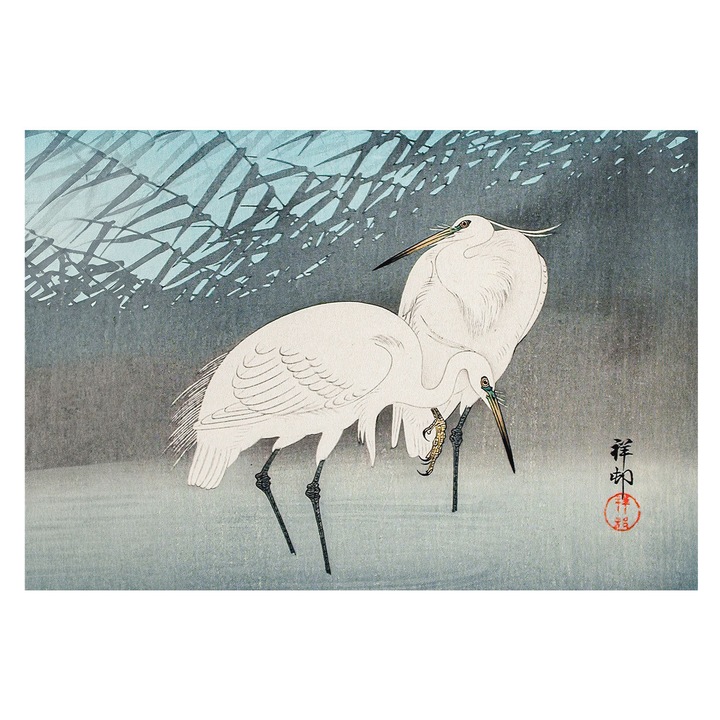 Tapéta Falra, Tulup, Kényes madarak, Kék, 152 x 104 cm, Nem Szőtt, Fali Dekoráció, 010100060030000285661