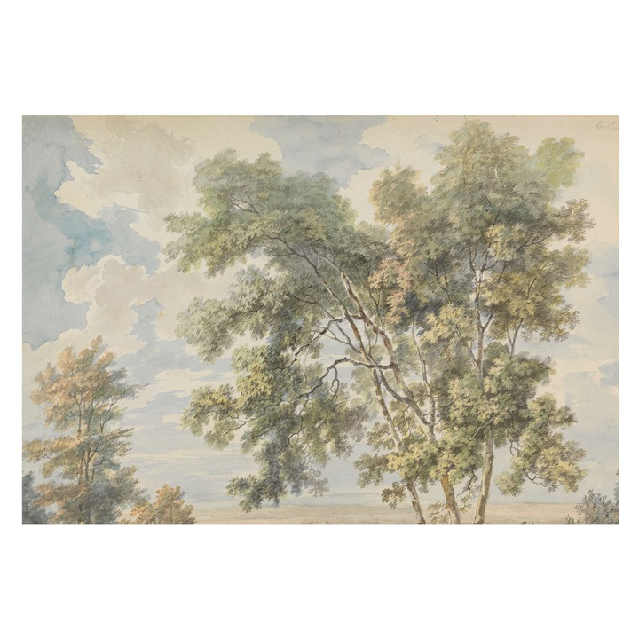 Tapéta Vlies Fali Dekoráció, Tulup, Romantikus természet, Zöld, 152 x 104 cm, Nem Szőtt, Stílusos, 010100060030000285528