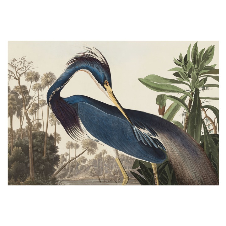 Dekor Tapéta, Tulup, Egzotikus természet, Kék, 152 x 104 cm, Nem Szőtt, Nappaliba, Szobába, 010100060030000285596