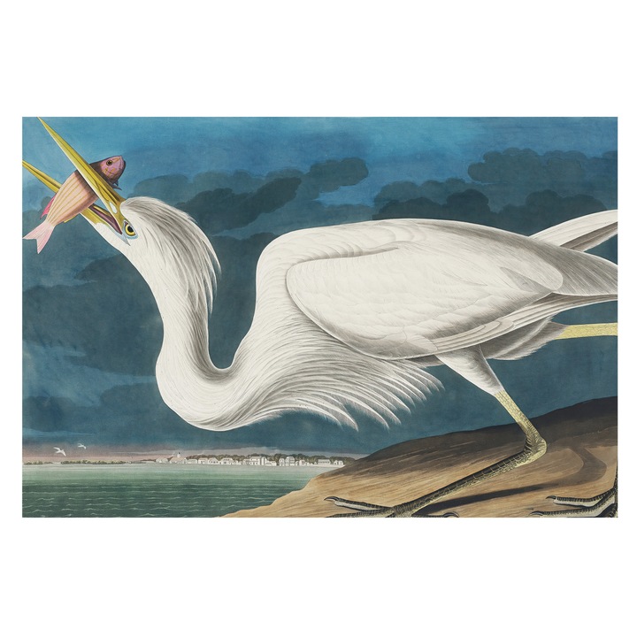 Fali Fotótapéta, Tulup, Pasare cu peste, Alb, 104 x 70 cm, Premium, Design Modern, 010100060020000285599