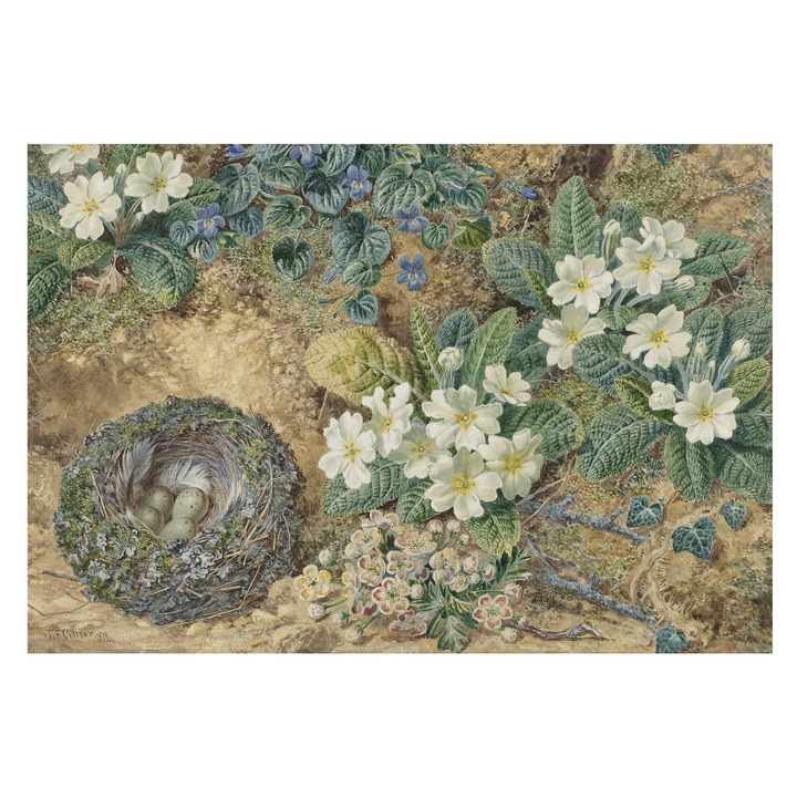 Tapéta Falra, Tulup, Tavaszi kompozíció, Fehér, 152 x 104 cm, Vlies, Erős Ragasztó, 010100060030000285665