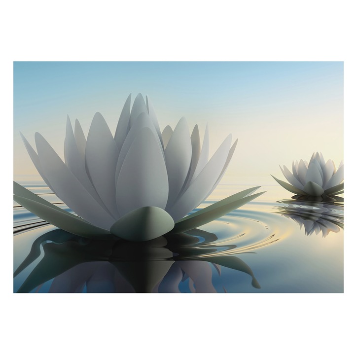 Fotótapéta Falra, Tulup, Tavirózsák, Fehér, 208 x 146 cm, Vlies, Erős Ragasztó, 010100060040000001825