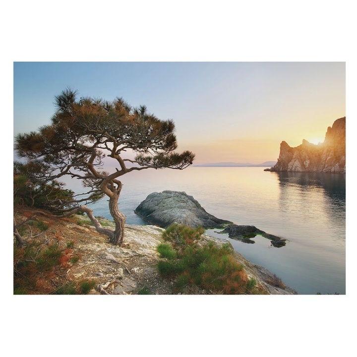 Tapet Vinil Pentru Perete, Tulup, Natura pasnica, Albastru, 312 x 219 cm, De Interior, Luxos, 010100060080000001166