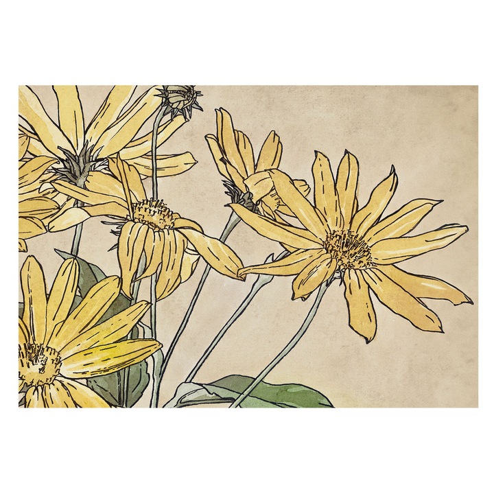 Tapet Vinil Pentru Perete, Tulup, Flori in acuarela, Alb, 208 x 146 cm, Decorativ, Luxos, 010100060040000031710