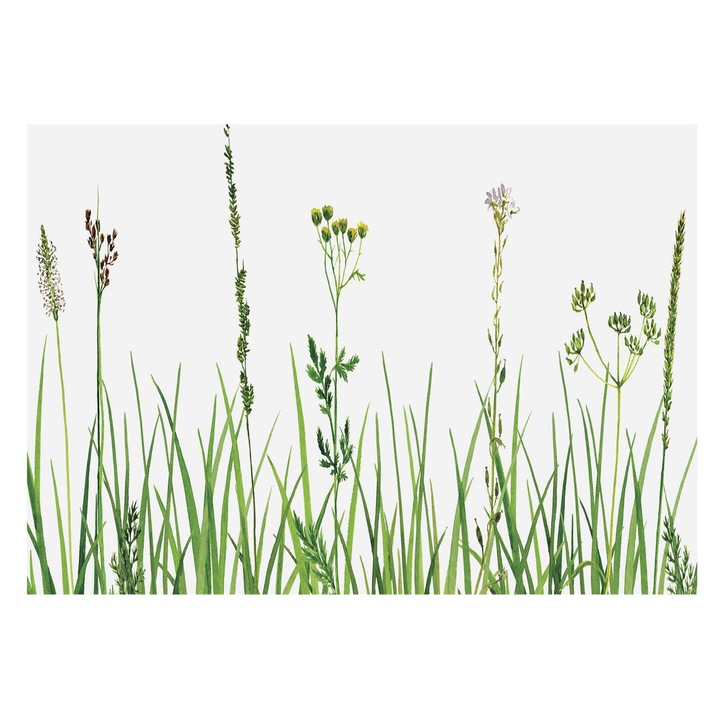 Tapet Vlies Pentru Perete, Tulup, Flora subtila, Verde, 312 x 219 cm, Design Modern, Elegant, 010100060080000034953