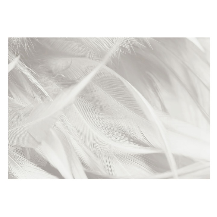 Fotótapéta Art Deco De Perete, Tulup, Pene subtile, Alb, 208 x 146 cm, Art Deco, Cu Model, 010100060040000282655