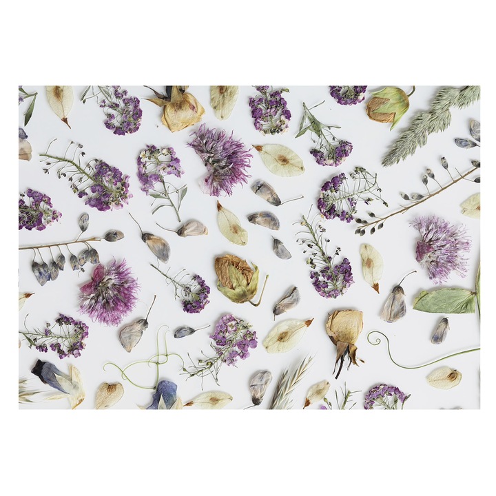 Tapet Vinil De Perete, Tulup, Flori uscate, Alb, 208 x 146 cm, De Interior, Ecologic, 010100060040000282735