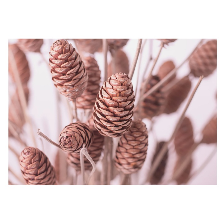 Dekor Tapéta, Tulup, Természetes elegancia, Barna, 208 x 146 cm, Nem Szőtt, Előszobába, Nappaliba, 010100060040000284891