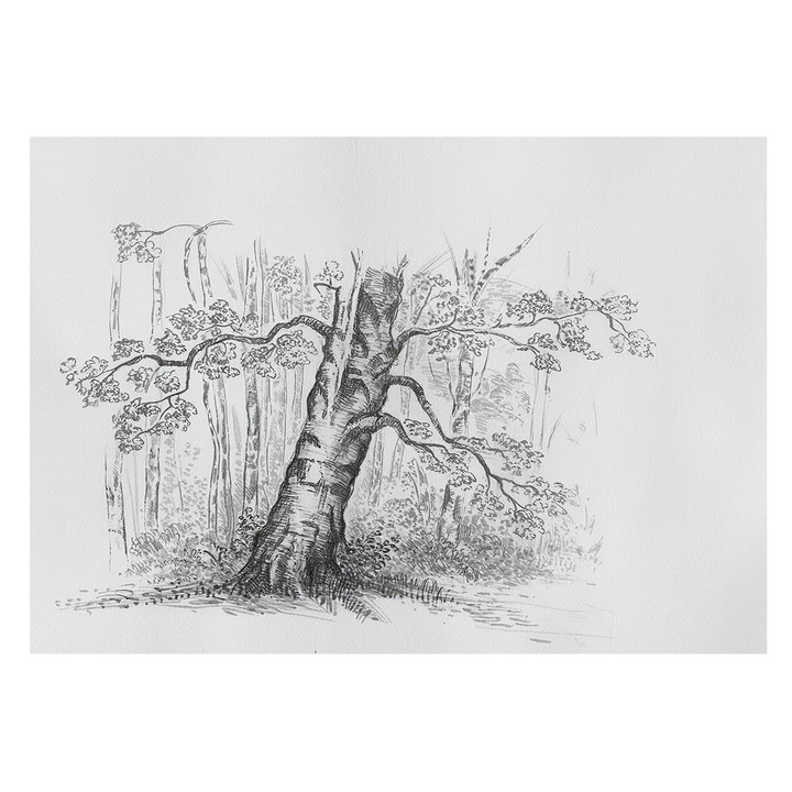 Dekor Tapéta, Tulup, Erdei fa, Fekete és fehér, 208 x 146 cm, Vlies, Modern Belsőépítészeti Dekoráció, 010100060040000285048