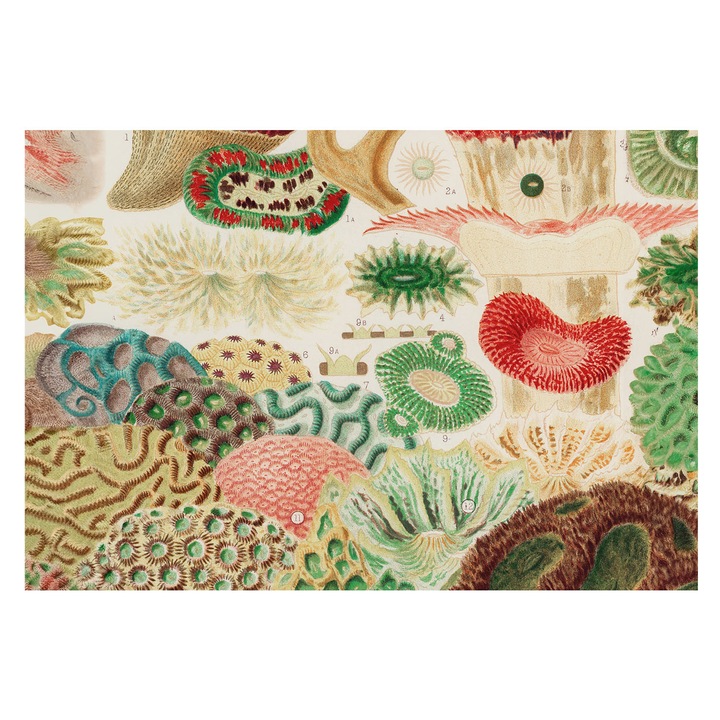 Dekor Tapéta, Tulup, Organikus formák, Zöld, 152 x 104 cm, Nem Szőtt, Stílusos, 010100060030000285436