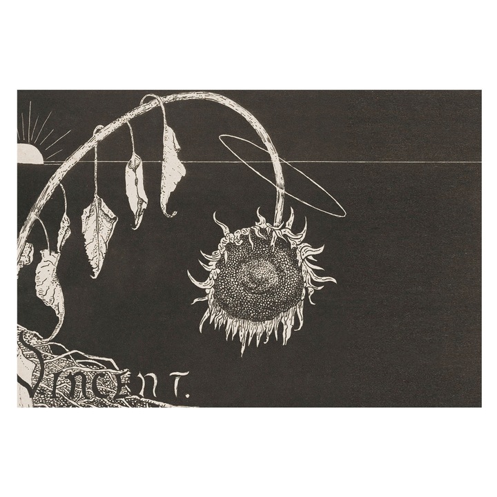 Tapéta Falra, Tulup, Nosztalgikus napraforgó, Fekete, 152 x 104 cm, Vlies, Élénk Színek, 010100060030000285454