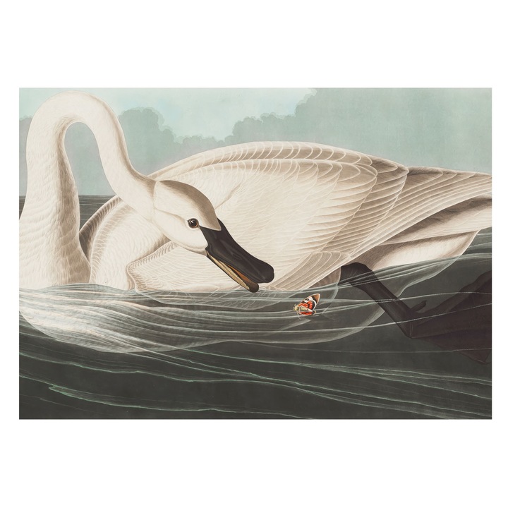 Tapet Vlies Pentru Perete, Tulup, Armonia naturii, Alb, 312 x 219 cm, Vlies, Elegant, 010100060080000285296