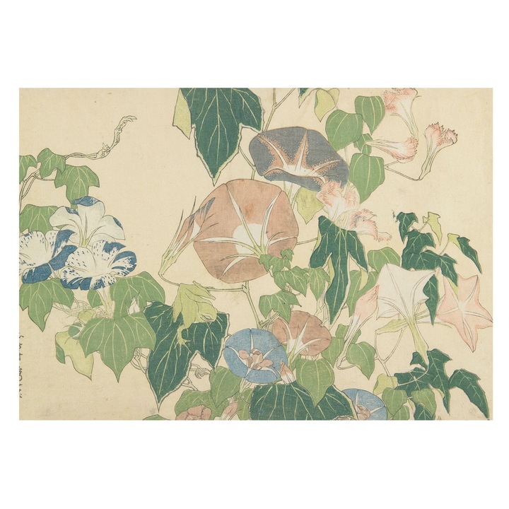 Fotótapéta De Perete, Tulup, Eleganta florala, Verde, 312 x 219 cm, Usor De Curatat, Pentru Uz Intern, 010100060080000285409