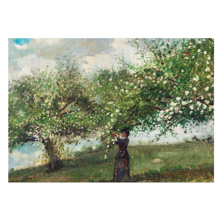 Dekor Tapéta, Tulup, Tavaszi jelenet, Zöld, 208 x 146 cm, Vlies, Modern Belsőépítészeti Dekoráció, 010100060040000285461