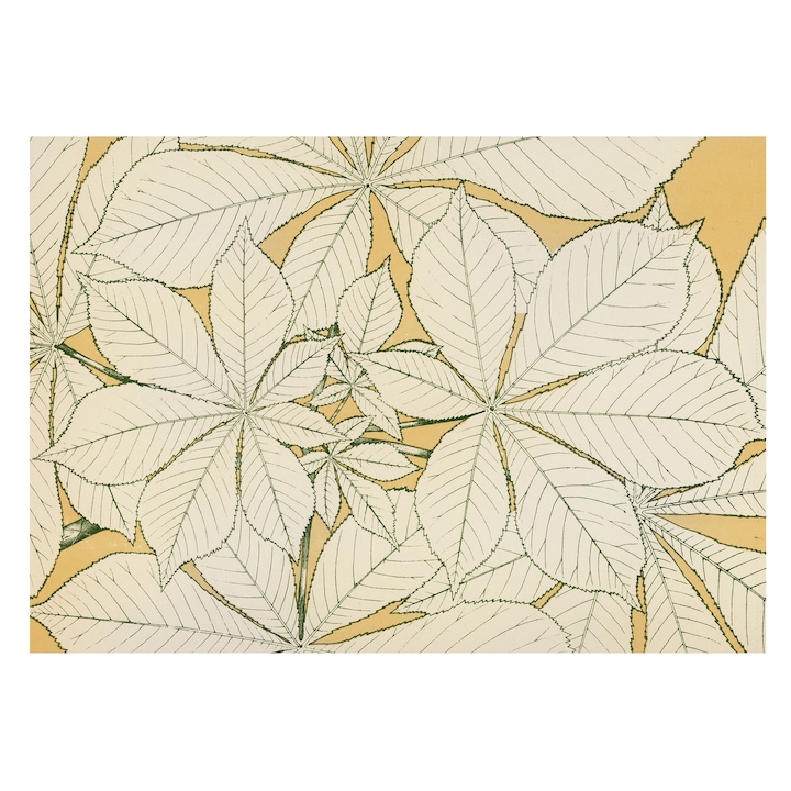 Fotótapéta Modern De Perete, Tulup, Frunze de castan, Bej, 208 x 146 cm, Pentru Living, Usor De Curatat, 010100060040000285486