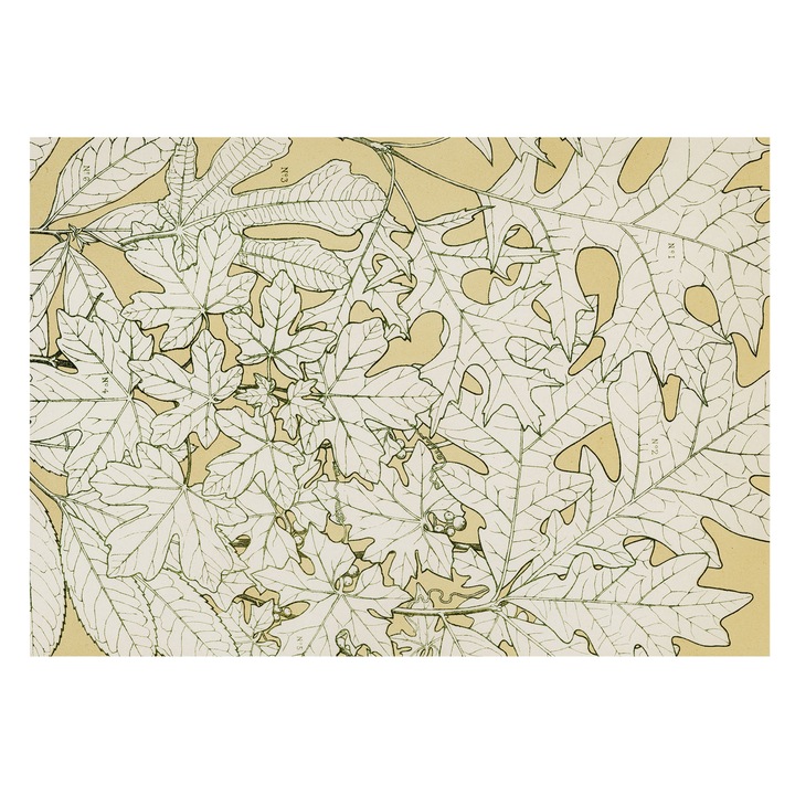 Vlies Fotótapéta De Perete, Tulup, Frunze de copac, Galben, 312 x 219 cm, Decorativ, Usor De Instalat, 010100060080000285487