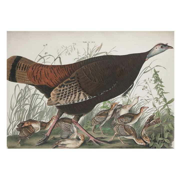 Tapet Vinil Pentru Perete, Tulup, Armonie naturala, Maro, 208 x 146 cm, Decorativ, Luxos, 010100060040000285593