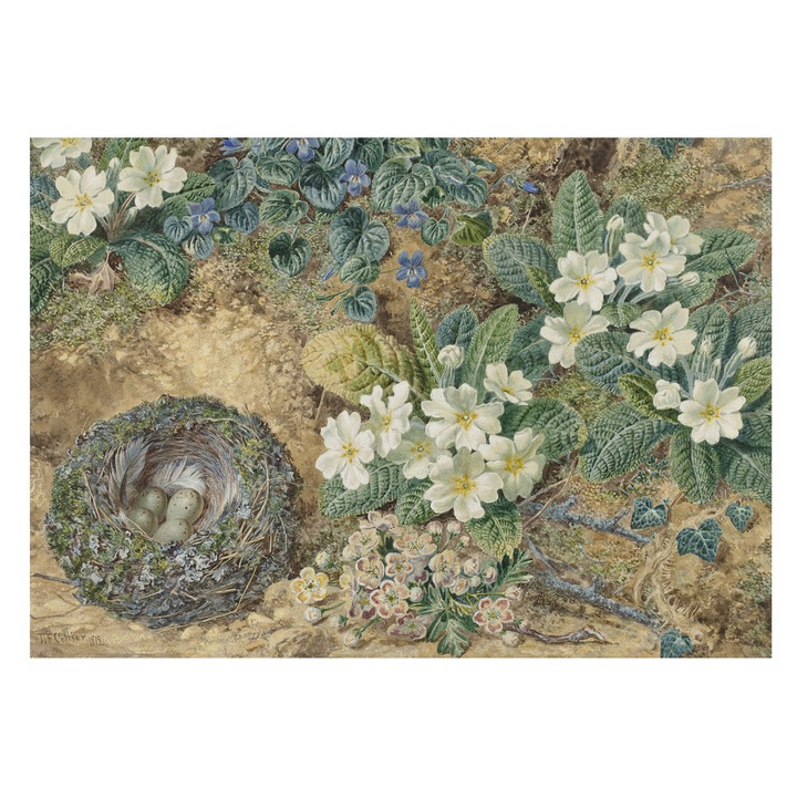 Tapet Vlies Pentru Perete, Tulup, Compozitie de primavara, Alb, 208 x 146 cm, Vlies, Elegant, 010100060040000285665