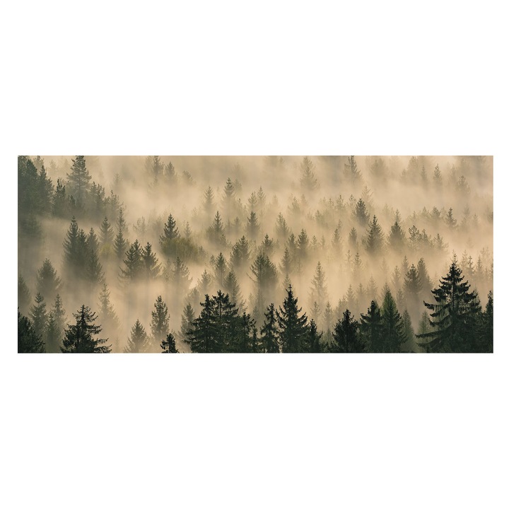 Vinil Fotótapéta De Perete, Tulup, Ceata de padure, Gri, 250 x 104 cm, Pentru Bucatarie, Living, 010100060050000035170