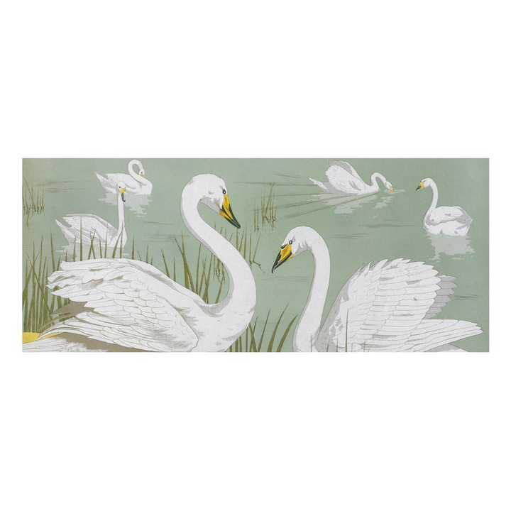 Tapet Vinil Pentru Perete, Tulup, Lacul lebedelor, Alb, 250 x 104 cm, Design Modern, Luxos, 010100060050000285500