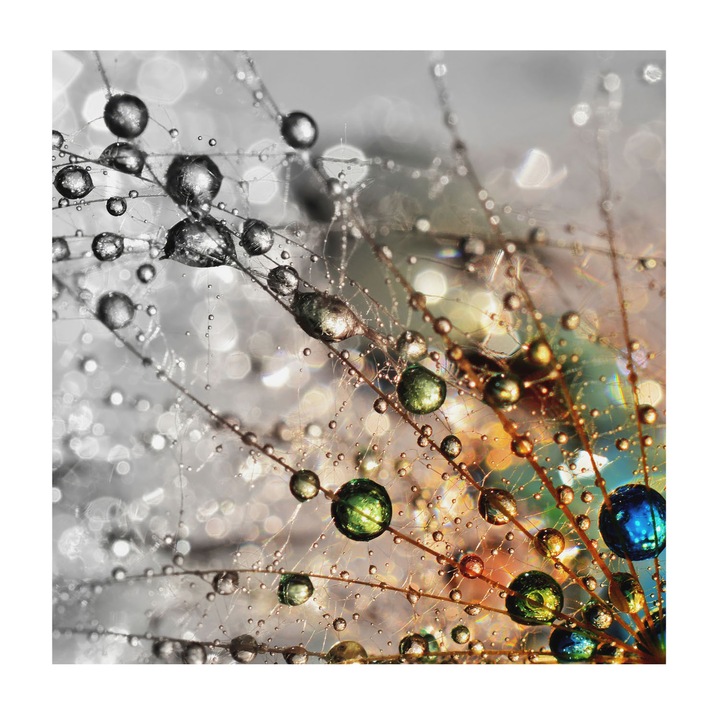 Tapet Vinil De Perete, Tulup, Eu improsc bijuterii, Alb, 250 x 250 cm, Pentru Living, Ecologic, 010100060060000006195